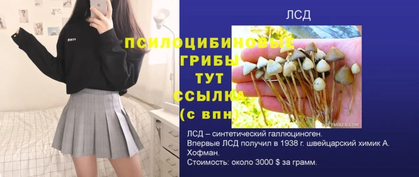 МДПВ Алзамай