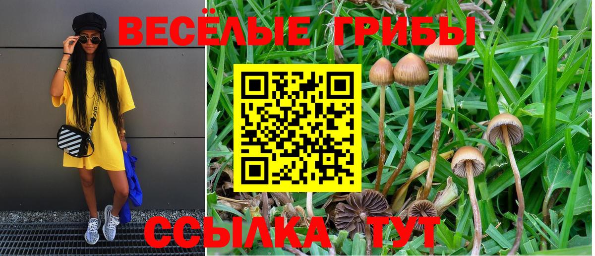 Заинск  купить закладку  Вход с VPN  Псилоцибиновые грибы Magic Shrooms  Галлюциногенные грибы MAGIC MUSHROOMS 