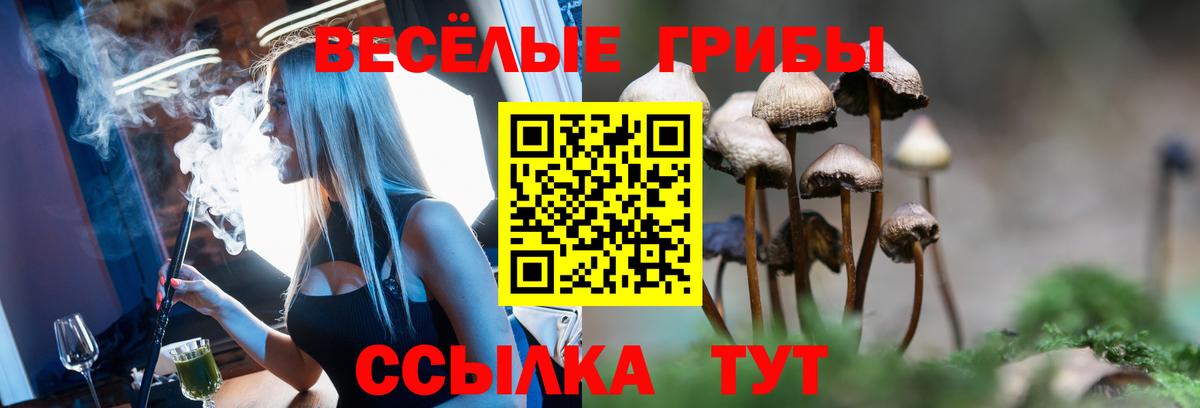 Псилоцибиновые грибы Psilocybine cubensis Заинск